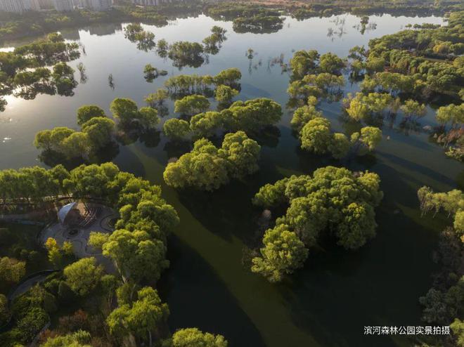 建发房产的「繁花」如期盛开(图11)